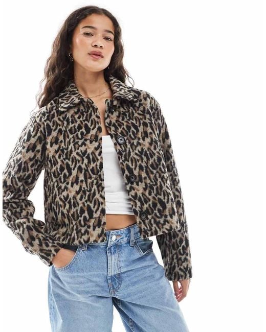 Wednesday's Girl Brown Leopard Print Boxy Cropped Jacket