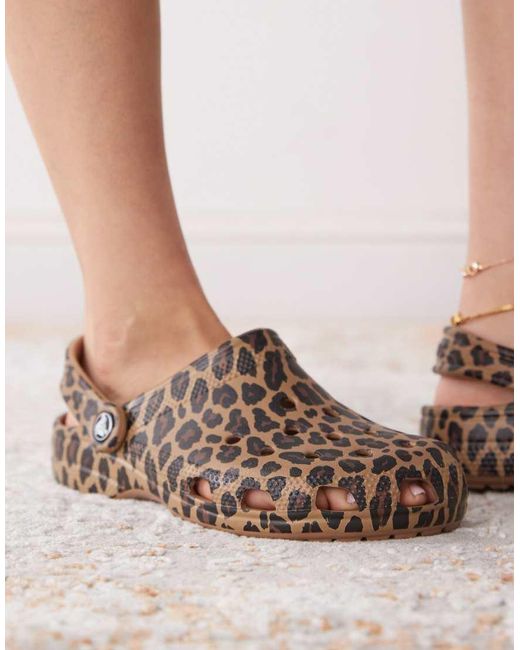 CROCSTM Brown Classic Clog