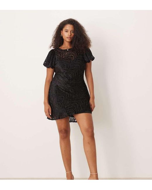 ASOS Black Asos Design Curve Velvet Animal Burnout Puff Sleeve Mini Dress