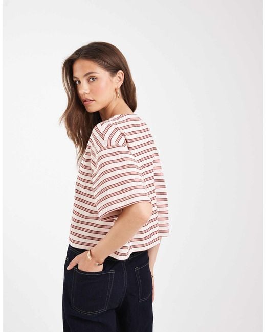 Miss Selfridge White – kurzärmlige, gerippte strickjacke mit knopfleiste und streifen