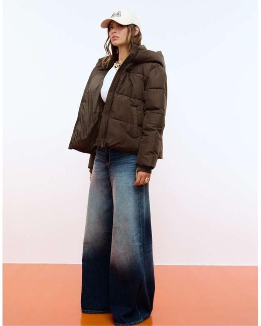 Stradivarius Basic Gewatteerd Jack Met Capuchon in het Brown
