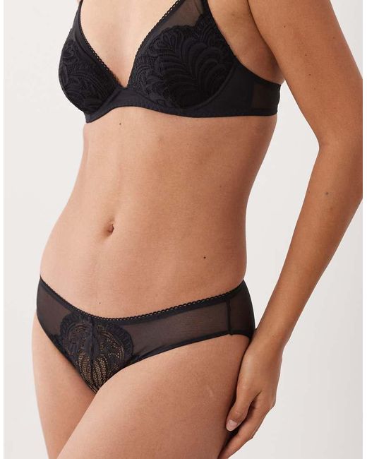 DORINA Brown Lincoln 2 Pack Brief