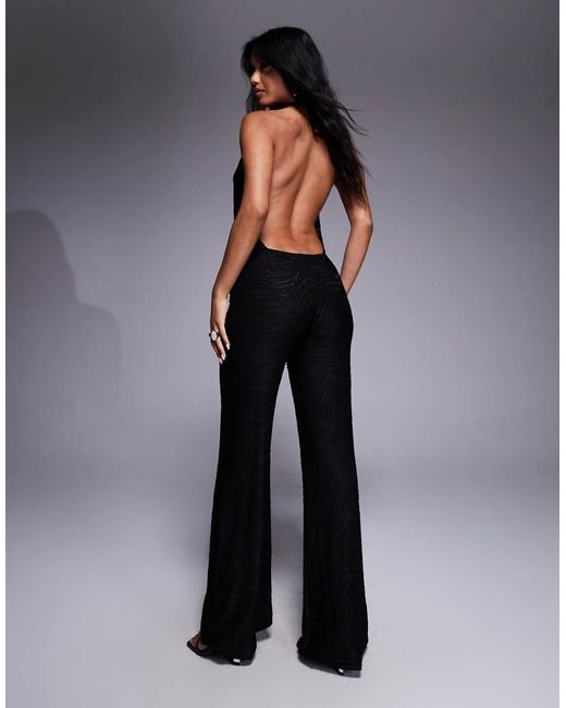 Oh Polly Blue Halter Drop Back Jumpsuit