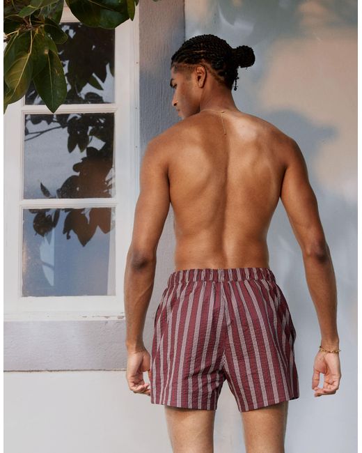 ASOS – kurze badeshorts aus seersucker in Brown für Herren