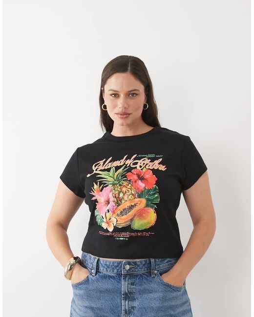 ASOS Black Asos Design Curve Baby Tee With Oahu Exotic Fruit Graphic