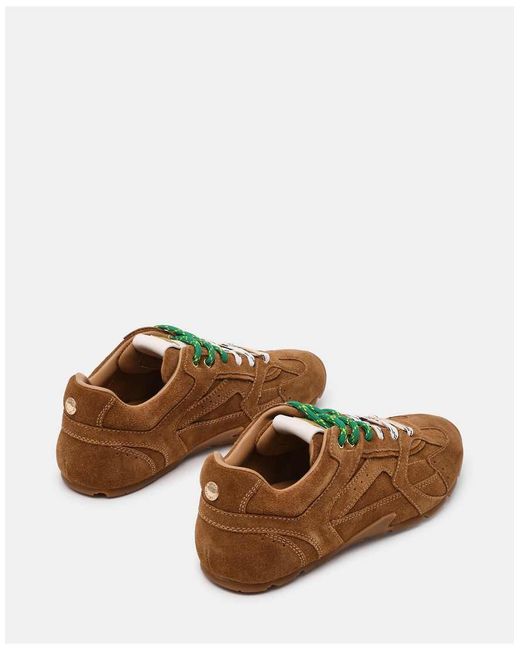 Steve Madden Brown Asiel Trainers With Contrast Laces