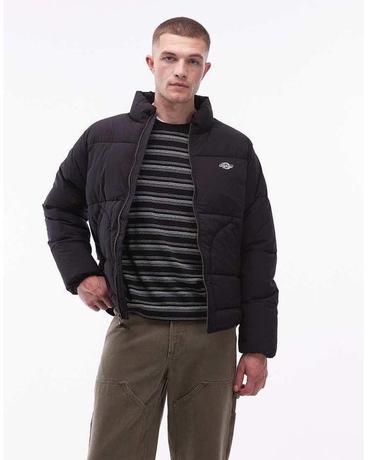 Dickies Black Summerdale Puffer Jacket for men