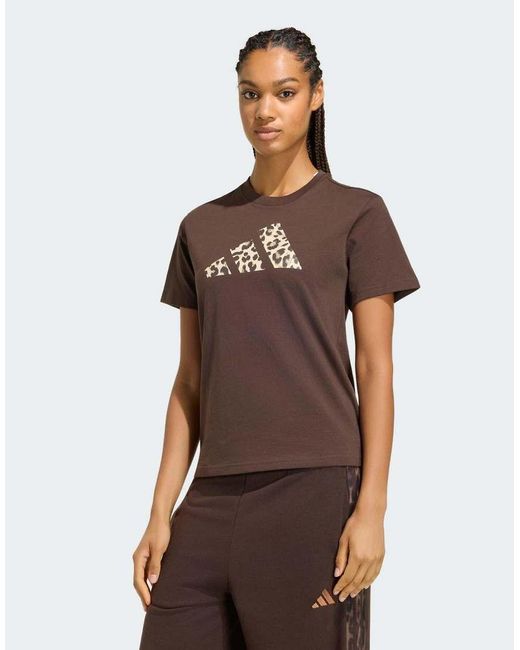Adidas Originals Brown Animal Graphic T-shirt