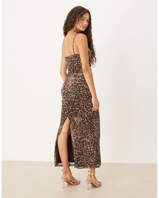 Vestito Midi Attillato Con Stampa Leopardata E Arricciature di Mango in Natural