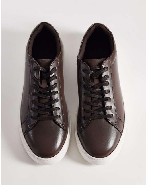 ASOS Brown Trainer for men
