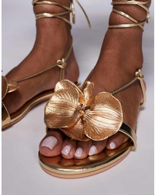 Magnolia di Public Desire in Brown