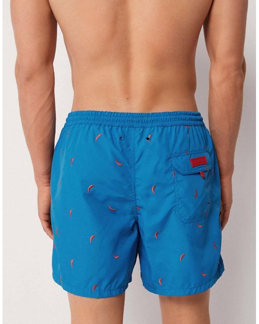 Calzedonia Blue Pattern Swim Boxer Formentera for men