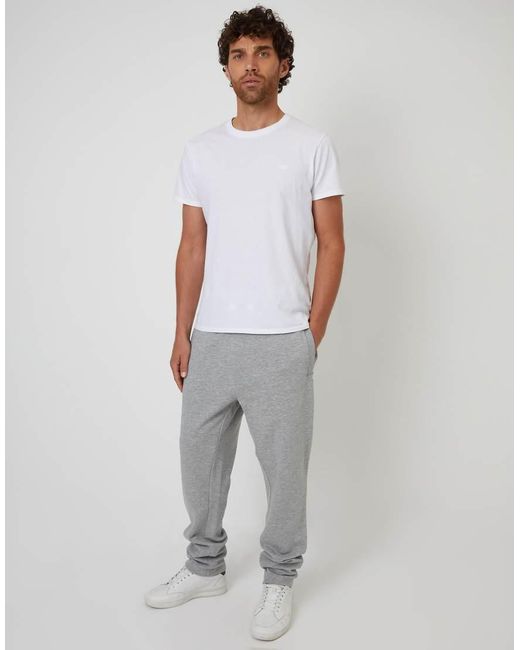 Threadbare Gray Straight Leg Joggers for men