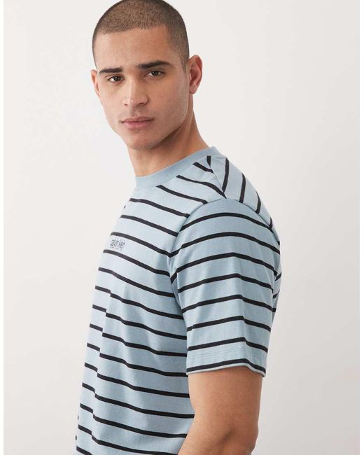 Calvin Klein Blue Striped T-shirt for men