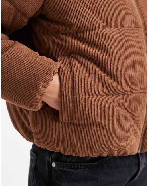 New Look Brown Cord Cropped Puffer Jacket