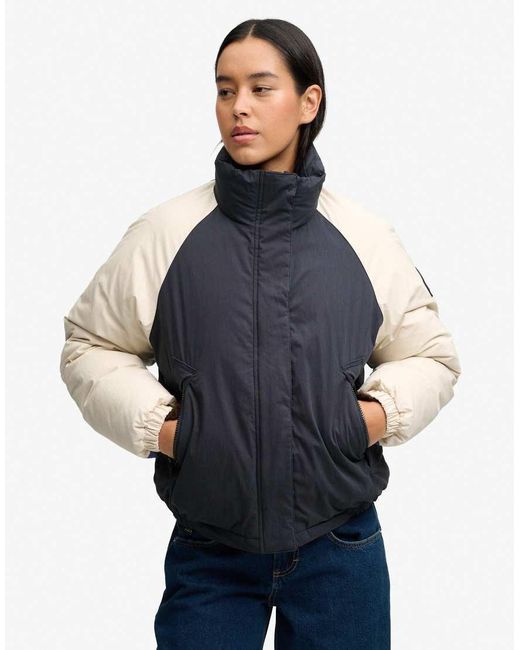 Superdry Blue Cotton Padded Shell Jacket