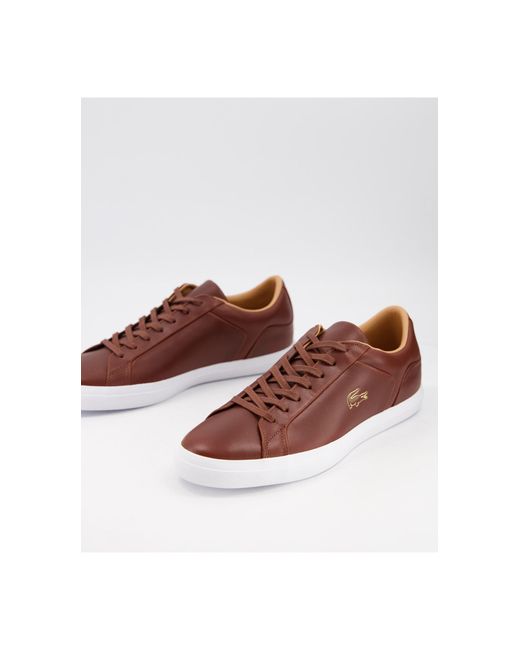 Lacoste Brown Lerond Sneakers for men