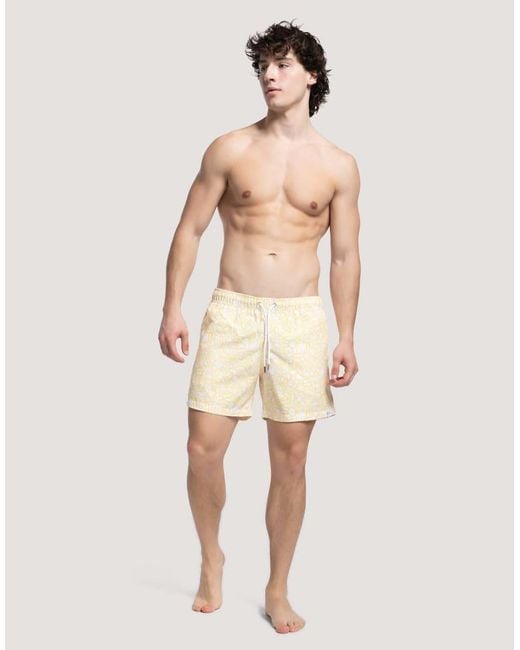 Apreslife Natural Under The Sea Swim Shorts for men