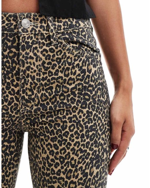 Vaqueros Marrones De Pernera Recta Con Estampado De Leopardo De Mango de color Brown