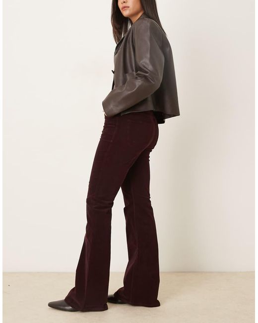 Mango Multicolor Violetav 100% Cotton Flared Jean