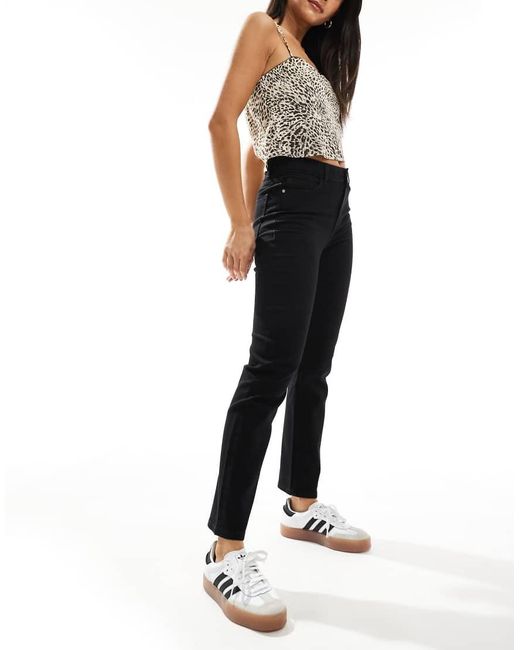 New Look Multicolor Slim Leg Jeans