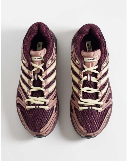 Adidas Originals Purple Adistar Control 5 Trainers for men