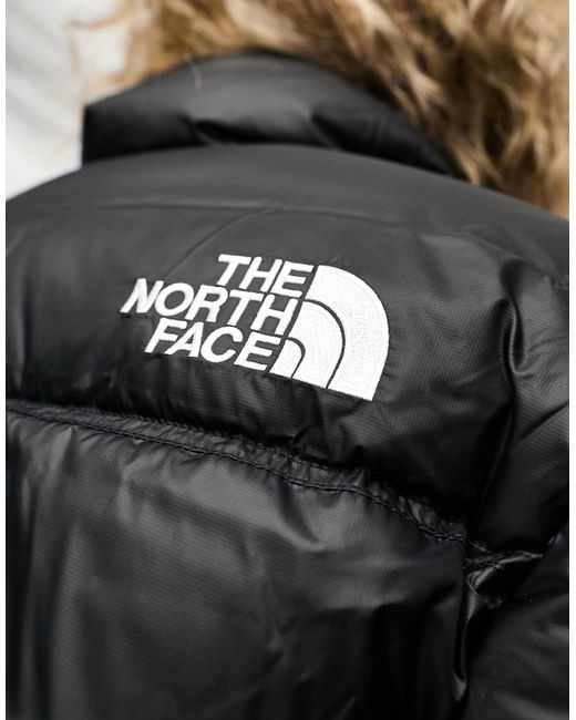 The North Face Black – nuptse – kurz geschnittene daunen-pufferjacke