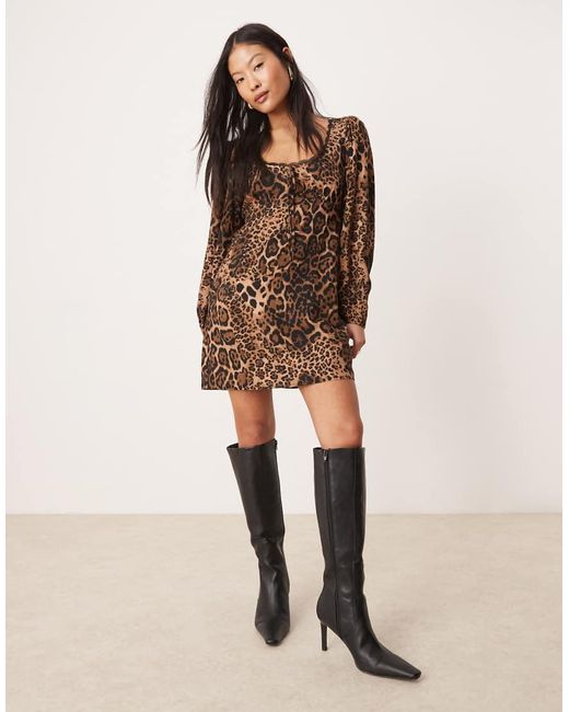 Vestido De Tarde Corto Con Estampado De Leopardo Y Ribete De Encaje De Miss Selfridge de color Brown