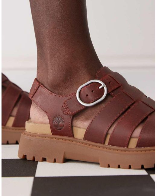Timberland Brown Clairemont Way Fisherman Sandals