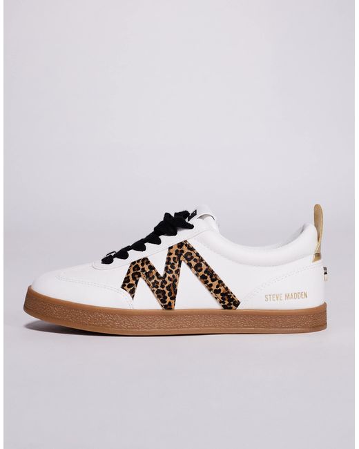 Steve Madden Blue Degree Lace Up Trainers