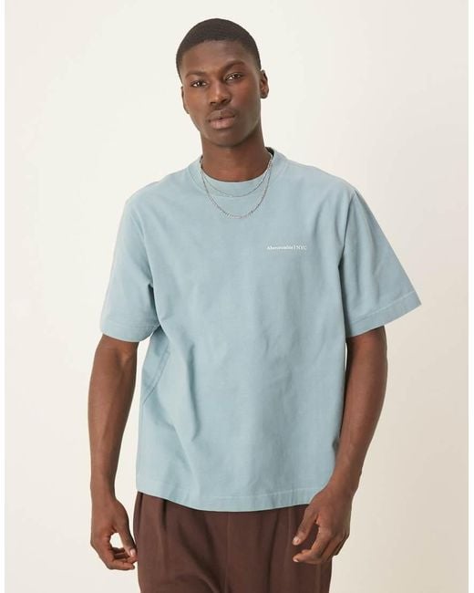 Abercrombie & Fitch Blue Premium Logo T-shirt for men