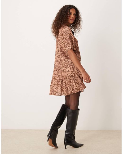 Miss Selfridge Natural – gestuftes, kurzes freizeitkleid mit leopardenmuster