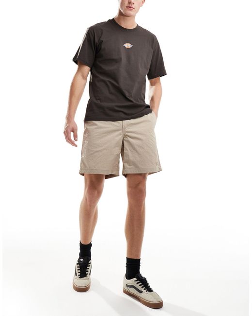 Dickies – fincastle – funktions-shorts in Natural für Herren