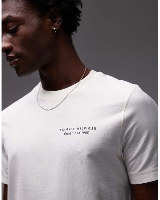 Tommy Hilfiger Gray Graphic Logo T-Shirt for men