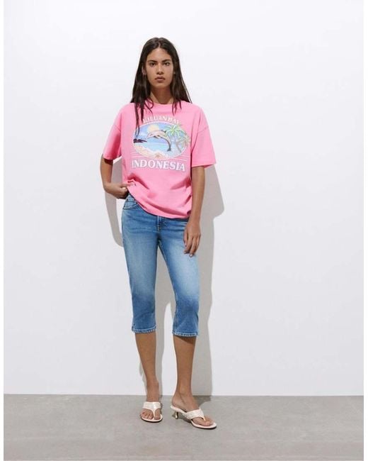Pull&Bear Pink Indonesia Dolphin Graphic T-shirt
