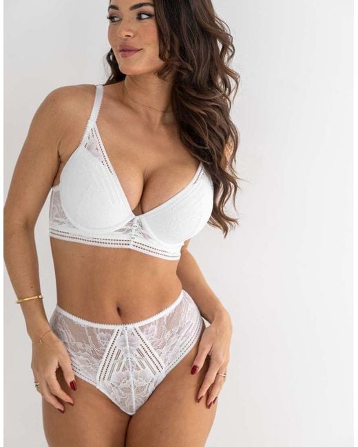 Pour Moi Brown Taylor Lace Midi Brazilian Brief