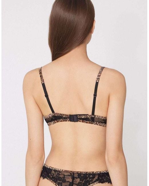 Tezenis Black Venice Jungle Glow Padded Push-Up Bra