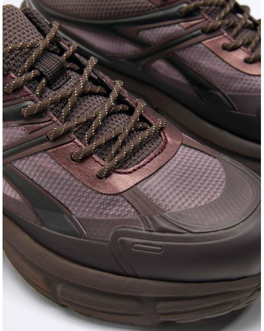 Baskets Oysho en coloris Brown