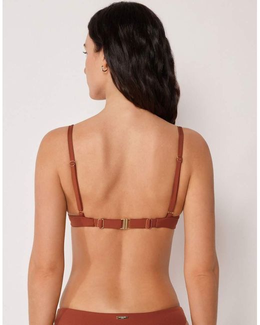 Calzedonia Brown Premium Fit Push Up Bikini Top