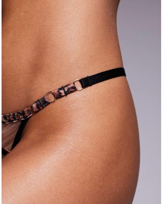 Ann Summers Brown – sheer desire – string mit animal-print