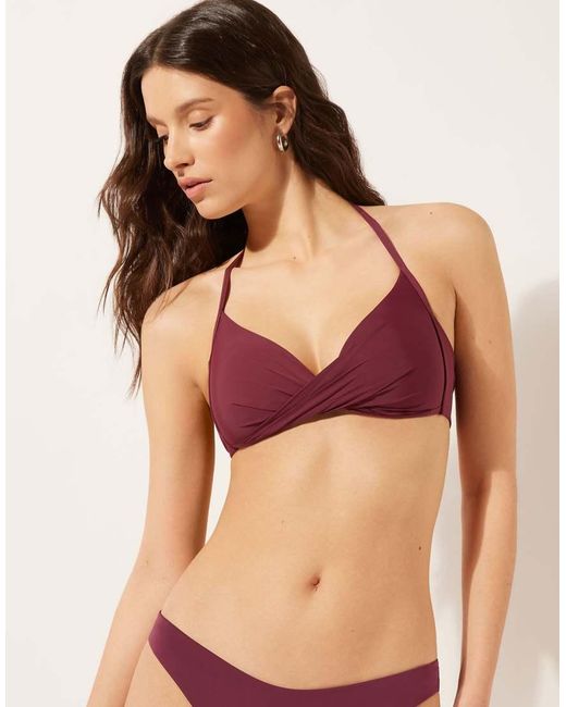 Calzedonia Purple Indonesia