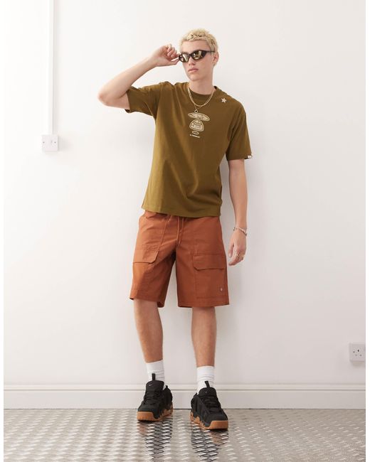 Aape By A Bathing Ape Aape by a bathing ape – kastiges t-shirt in Brown für Herren