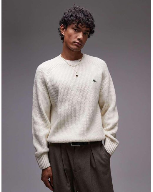 Lacoste Gray Cable Heavy Weight Knit Jumper for men