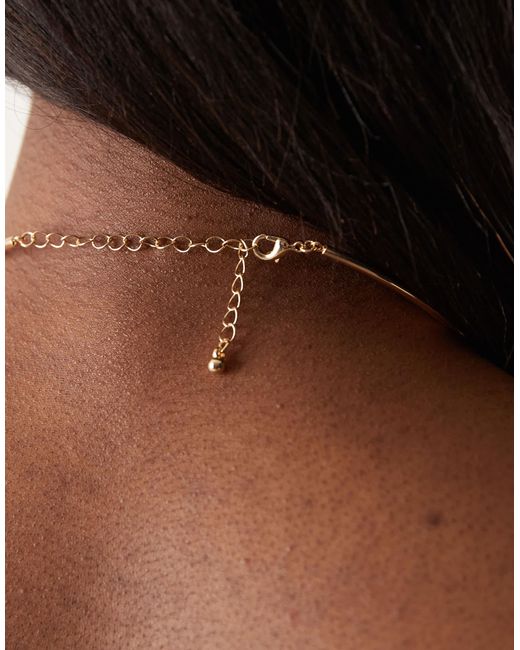 ASOS Brown Necklace With Fine Wire And Trapped Floral Detail
