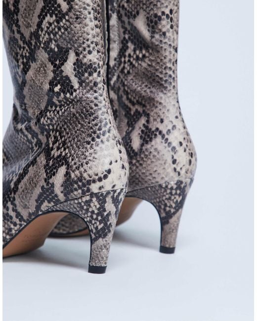 TOPSHOP Gray – neeve – ankle-boots aus hochwertigem leder mit schlangenprint und hohem absatz