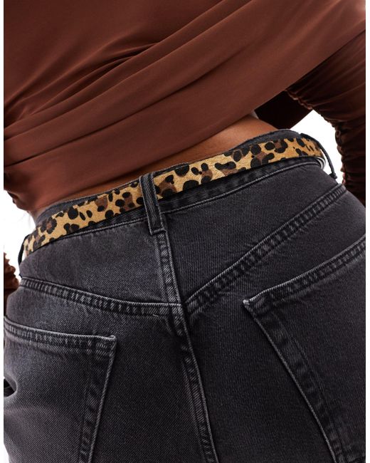 Asos design curve - ceinture fine taille et hanches pour jean avec extrémité boyfriend - léopard ASOS en coloris Black