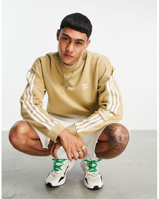 adidas lock up sweatshirt