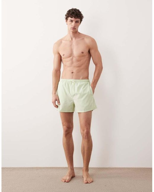 Free Society Green Swimshort for men