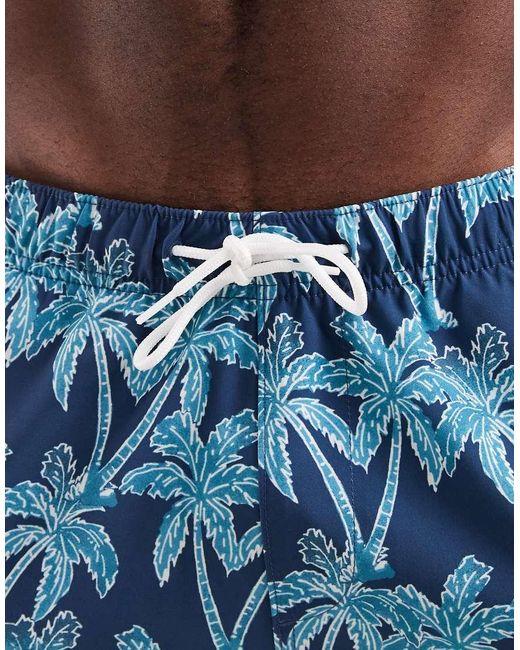 Hollister Blue Pull On Swimming Trunks for men