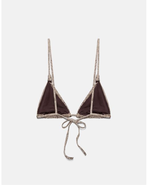 Bas Pull&Bear en coloris Brown